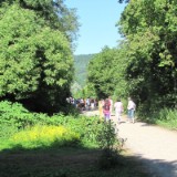 1007G 39 Ruhr Radweg